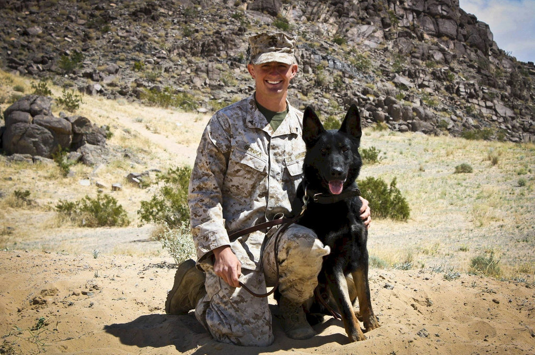 A Light That Never Goes Out: Honoring CPL David Sonka and MWD Flex