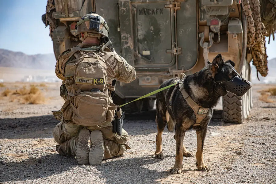 Lighting the Way: Honoring K-9 Heroes Through Candlelight